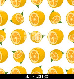 Illustration sur thème grand coloré sans couture kumquat, motif fruits lumineux pour le phoque. Motif fruits composé de délicieux kumquat à répétition sans couture. Simp Illustration de Vecteur