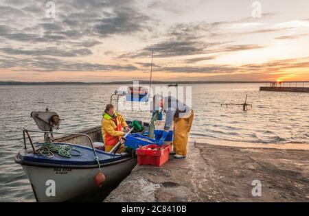 Knockadoon, Cork, Irlande. 21 juillet 2020. Le père et son fils Vincent et Barney O'Brien chargent des appâts sur leur bateau au lever du soleil avant de partir pour une journée de pêche à Knockadoon, Co. Cork, Irlande. - crédit; David Creedon / Alamy Live News Banque D'Images