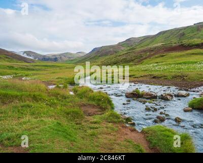 Vallée de Reykjavadalur avec sources d'eau chaude avec prairie d'herbe verte luxuriante et collines avec vapeur géothermique. Sud de l'Islande près de la ville de Hveragerdi. Été Banque D'Images