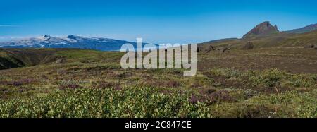 Paysage panoramique avec vue sur la montagne Einhyrningur unicorn, collines verdoyantes, fleurs et glacier eyjafjallajokull. Sentier de randonnée de Laugavegur Banque D'Images