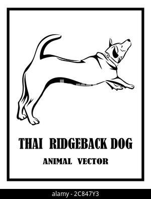 Chien thai ridreback noir et blanc vecteur eps 10 Illustration de Vecteur