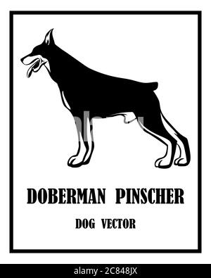 Vecteur noir et blanc logo d'illustration d'un chien Doberman Pinscher. Il est debout. Illustration de Vecteur