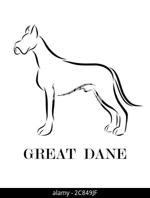 Dessin d'une ligne noire sur fond blanc d'un chien de Great Dane. Il est debout Illustration de Vecteur