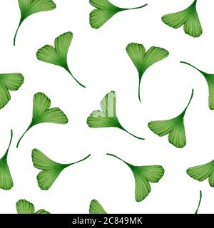 ginkgo biloba fond sans couture, aquarelle peint à la main illustration avec feuilles de ginkgo pour l'emballage, papier peint ou tissu, ginkgo conception textile Banque D'Images