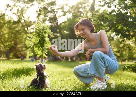 Une jeune fille court et joue dans un parc vert avec son terrier du Yorkshire. Femme sur une promenade d'entraînement petit chien yorkshire terrier sur fond de nature ensoleillé. Banque D'Images