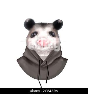 Portrait opossum sur blanc. Illustration d'un animal mignon Banque D'Images