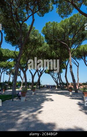 Allée verte avec arbres dans le parc de la ville, le jour ensoleillé du printemps à Rome, Italie. Banque D'Images