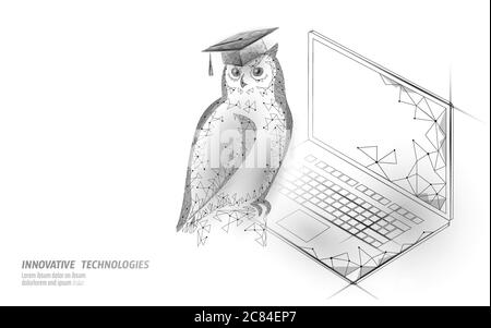 Hibou oiseau symbole de l'éducation sage. Concept de distance d'apprentissage en ligne. Concept de programme international de certificat de troisième cycle. Internet 3D poly faible Illustration de Vecteur