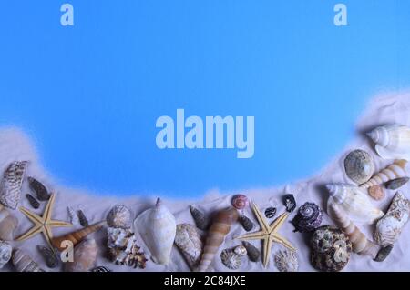 mélange de coquillages sur fond de sable et bleu Banque D'Images