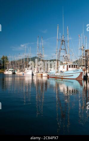 Bateaux de pêche amarrés dans le port d'Ucluelet, île de Vancouver, Colombie-Britannique, Canada. Banque D'Images