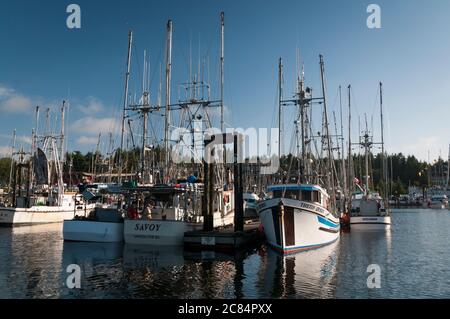 Bateaux de pêche amarrés dans le port d'Ucluelet, île de Vancouver, Colombie-Britannique, Canada. Banque D'Images