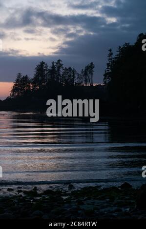 Terrace Beach, Ucluelet, île de Vancouver, Colombie-Britannique, Canada. Banque D'Images