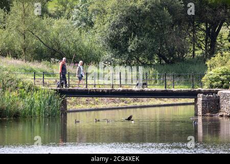 Un couple qui marche à travers un pont avec leurs chiens avec des canards dans le réservoir en dessous et les anciennes terres boisées en arrière-plan à Meltham, West Yorkshire. Banque D'Images