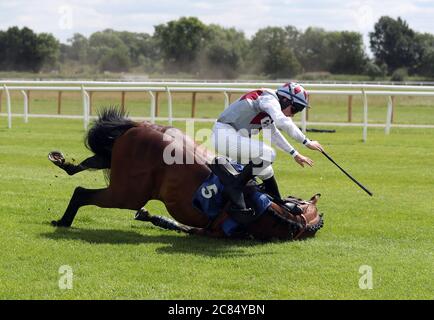 West Coast Flyer, un faller-simple dans The Watch on Racing TV, les novices de Chase, à l'hippodrome de Stratford-on-Avon. Banque D'Images