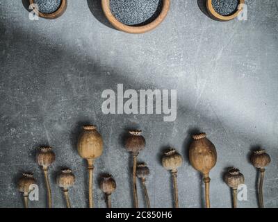 Séchez les têtes de pavot et les graines de pavot dans des bols en bois sur fond de marbre. Prise de vue en hauteur avec lumière dure. Banque D'Images