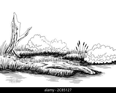 Bog Swamp graphique noir blanc paysage dessin vecteur d'illustration Illustration de Vecteur