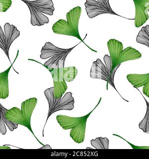 motif ginkgo sans coutures, dessin au trait et aquarelle avec feuilles de ginkgo pour l'emballage, le papier peint ou le tissu, le motif textile de ginkgo Banque D'Images