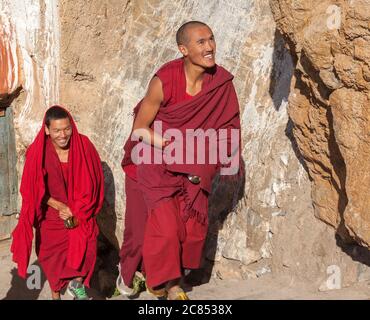 Spiti, Inde - 29 avril 2016 : des moines joyeux grimpent les escaliers jusqu'au lieu de thé dans le monastère de Key au lever du soleil Banque D'Images