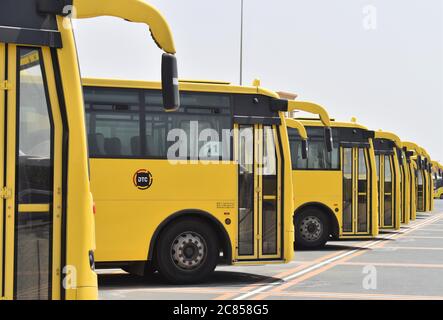 Une rangée d'autobus scolaires jaunes à Dubaï a été garée et n'a pas été utilisée en raison de la fermeture d'écoles liées à Covid-19 Banque D'Images