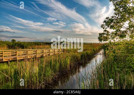 Canal et pont en bois sur la côte Baltique en Estonie Banque D'Images