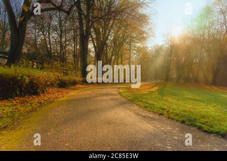 Matin brumeux dans le vieux parc automnal. Poutres de soleil tombant sur les arbres colorés, chemin avec des bancs en bois Banque D'Images