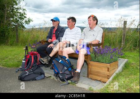 Auchinloch près de Lenzie, Écosse, Royaume-Uni. 21 juillet 2020. Photo : trois frères proches pour une promenade dans la campagne. Le bar Golden Pheasant d'Auchinloch est à proximité, ce qui vous permet de vous arrêter à pied. Les trois frères vont faire une promenade tous les mardis, et aujourd'hui c'était sur les dales de Kirkintilloch et de Lenzie. Ils disaient qu'une marche est bonne pour l'âme et parfaite pour discuter et pour la santé mentale, surtout pendant la crise du coronavirus. Crédit : Colin Fisher/Alay Live News Banque D'Images