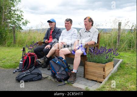 Auchinloch près de Lenzie, Écosse, Royaume-Uni. 21 juillet 2020. Photo : trois frères proches pour une promenade dans la campagne. Le bar Golden Pheasant d'Auchinloch est à proximité, ce qui vous permet de vous arrêter à pied. Les trois frères vont faire une promenade tous les mardis, et aujourd'hui c'était sur les dales de Kirkintilloch et de Lenzie. Ils disaient qu'une marche est bonne pour l'âme et parfaite pour discuter et pour la santé mentale, surtout pendant la crise du coronavirus. Crédit : Colin Fisher/Alay Live News Banque D'Images