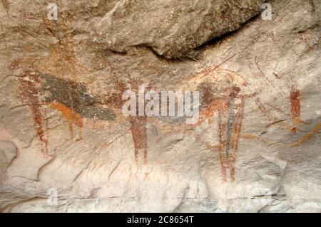 Val Verde County, Texas octobre 2005 : Panther Cave, un grand abri sous roche célèbre pour ses pictogrammes préhistoriques élaborés, se trouve sur la rive gauche du canyon Seminole juste au-dessus de sa confluence avec le Rio Grande. Le site porte le nom de la figure la plus grande et la plus spectaculaire, un grand chat sautant, mais au moins quatre chats supplémentaires sont discernables dans la masse de peinture qui couvre l'arrière de l'abri principal. Plusieurs personnages humains portent des coiffes ressemblant à des oreilles félines. ©Bob Daemmrich Banque D'Images