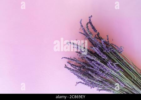 Bouquet de fleurs de lavande sec sur fond violet Banque D'Images