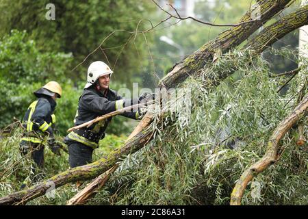 les pompiers et les policiers aident à nettoyer les effets d'un arbre tombé sur les voitures après la tempête par temps pluvieux. Banque D'Images