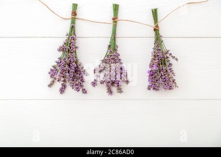 Les bouquets de fleurs de lavande frais sont séchés sur corde sur fond de bois blanc. Fleur de plantes Flatlay. Aromathérapie à la lavande. Fond rose Banque D'Images