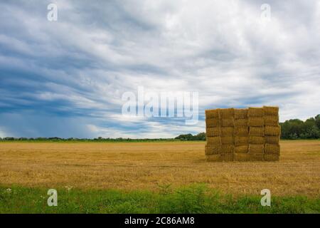 Haystacks carrés dans un arrangement carré sur les terres humides du nord-est italien près de Marina Julia, Friuli-Venezia Giulia Banque D'Images