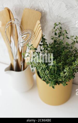 Ustensiles de cuisine pot en céramique et herbe de thym sur fond blanc gris texture. Mise au point sélective. Banque D'Images