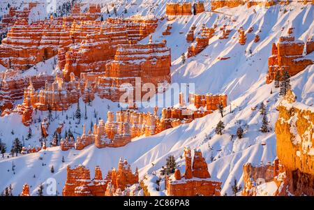 Bryce Canyon Banque D'Images