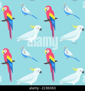 Motif sans couture avec perroquets colorés : macaron, cafatoo et budgerigar. Arrière-plan répété avec des oiseaux tropicaux. Illustration de Vecteur