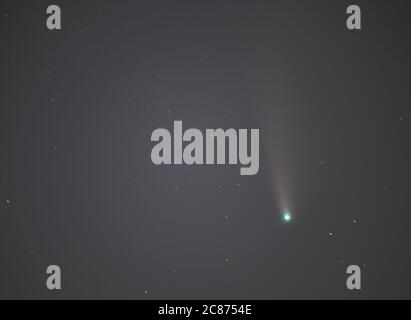 Wimbledon, Londres, Royaume-Uni. 21 juillet 2020. Comet C/2020 F3 Neolise est placé sous Ursa Major (le Grand Ours) et s'estompe désormais légèrement dans la pollution lumineuse et l'éclat du ciel de Londres, mais clair dans cette image à travers un téléobjectif. Crédit: Malcolm Park/Alay Live News. Banque D'Images