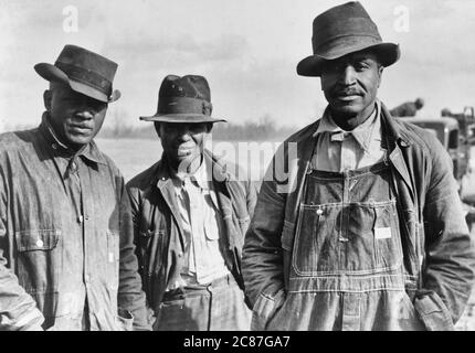 Des sharecroppers expulsés le long de l'autoroute 60, comté de New Madrid, Missouri, janvier 1939 Banque D'Images