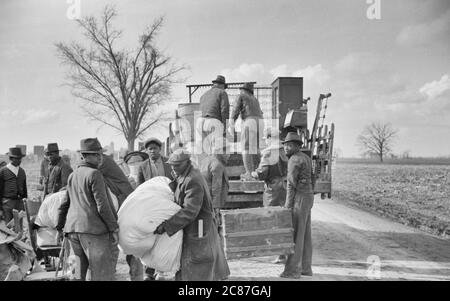 Les autorités de la route de l'État déplacent les sharecroppers expulsés loin du bord de la route vers la zone entre le levee et le fleuve Mississippi, New Madrid County, Missouri. Janvier 1939 Banque D'Images