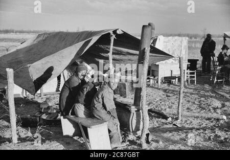 Expulsés de jeunes de la caïer, New Madrid County, Missouri, janvier 1939 Banque D'Images