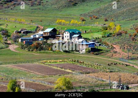 Petit village rural dans la vallée de Djety-Oguz, dans la région d'Issyk-Kul, Kirghizistan. Vue de jour ensoleillée sur les maisons et l'agriculture dans une colline de Jeti Oguz. Banque D'Images