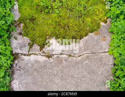 Brisés et détruits vieux sol de chemin de marche de ciment entre eux avec de la mousse et de l'herbe avec bordure d'herbe verte sur les côtés. Vieux chemin avec pierres et mousse Banque D'Images