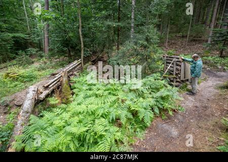 17 juillet 2020, Bavière, Nuremberg: Hans-Joachim Ulrich, forestier de la forêt bavaroise, envisage un saut à ski dans le Reichswald de Nuremberg qui a été construit par les motards eux-mêmes et qui doit être enlevé. Au milieu de la forêt, il y a de hauts sauts de ski dans de nombreux endroits - auto-construit avec des planches et des troncs d'arbre et pas toujours sans danger. En raison des dommages causés à la forêt et à la nature, mais aussi en raison du danger d'accidents, certains sauts à ski seront démolis. (À dpa 'l'ardeur de la construction dans la forêt: Des problèmes avec les pistes illégales de VTT') photo: Daniel Ka Banque D'Images