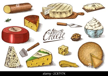 Ensemble de fromages. Tranches de Mascarpone Bleu de Gex Edam Camembert Mozzarella pour le marché ou l'épicerie. Cheesboard et lait frais bio. Vecteur Illustration de Vecteur