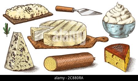 Ensemble de fromages. Tranches de Mascarpone Bleu de Gex Edam Camembert Mozzarella pour le marché ou l'épicerie. Cheesboard et lait frais bio. Vecteur Illustration de Vecteur