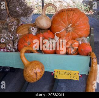 Grèce, corfou, ville de Kerkyra, 26 septembre 2018: Assortiment de citrouilles et herbes décoratives locales sur le stand dans le marché de rue de la ville de Corfou, près Banque D'Images