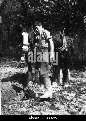Un homme labourant un champ avec une charrue tirée par un cheval en Angleterre vers 1948. Banque D'Images
