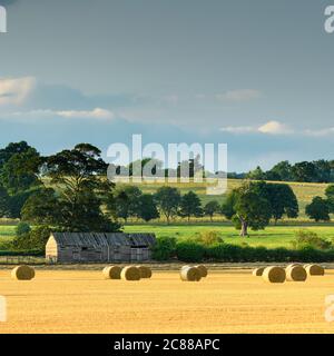 Paysage rural pittoresque (balles de paille dans le champ agricole après la récolte de blé, grange rustique en bois et lumière du soleil sur les champs verts) - North Yorkshire, Angleterre Royaume-Uni. Banque D'Images