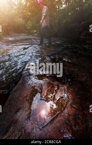 Un homme asiatique marche à côté d'une empreinte fossilisée de dinosaures théropodes sur le ruisseau de l'ancienne forêt tropicale, le soleil se reflète sur les empreintes. Banque D'Images