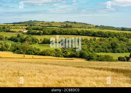 Une vue sur les terres agricoles près de Findon Village jusqu'à la colline de l'âge de fer fort de Cissbury Ring dans le parc national de South Downs, West Sussex, Angleterre, Royaume-Uni. Banque D'Images