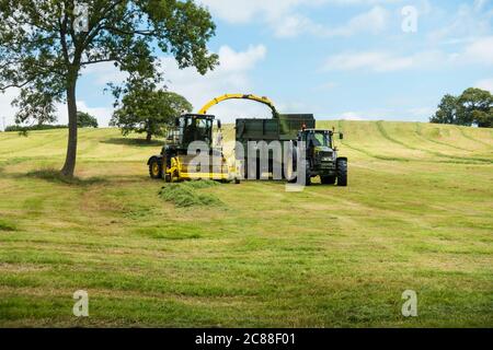 Agriculteur collectant de l'herbe pour le silo, Somerset, Angleterre, Royaume-Uni. Banque D'Images